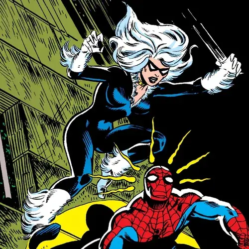 Black Cat pouncing on Spider-Man with his spider-sense tingling.